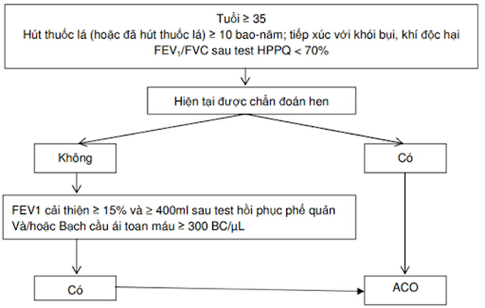 Hình 5. Chẩn đoán ACO được áp dụng thực tế tại Việt Nam hiện nay.