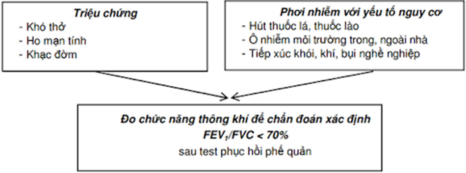 Hình 1. Chẩn đoán xác định COPD theo GOLD 2018.