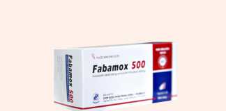 Hộp thuốc Fabamox 500mg
