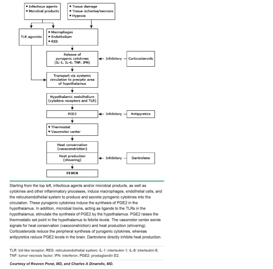 Fever stimulators and inhibitors