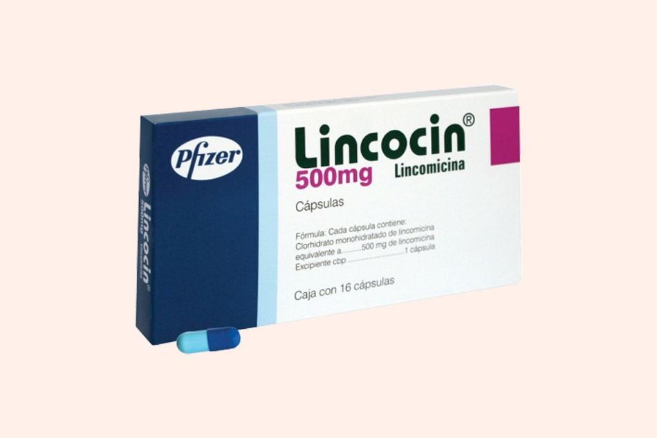 Thuốc Lincocin là biệt dược gốc của Lincomycin