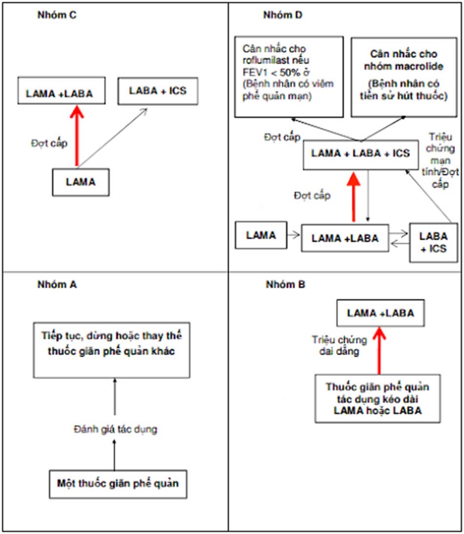Hình 6. Tiếp cận lựa chọn thuốc điều trị cho bệnh nhân mắc COPD ổn định theo nhóm ABCD. Những mũi tên màu đỏ và ô có chữ được in đậm là lựa chọn điều trị ưu tiên.