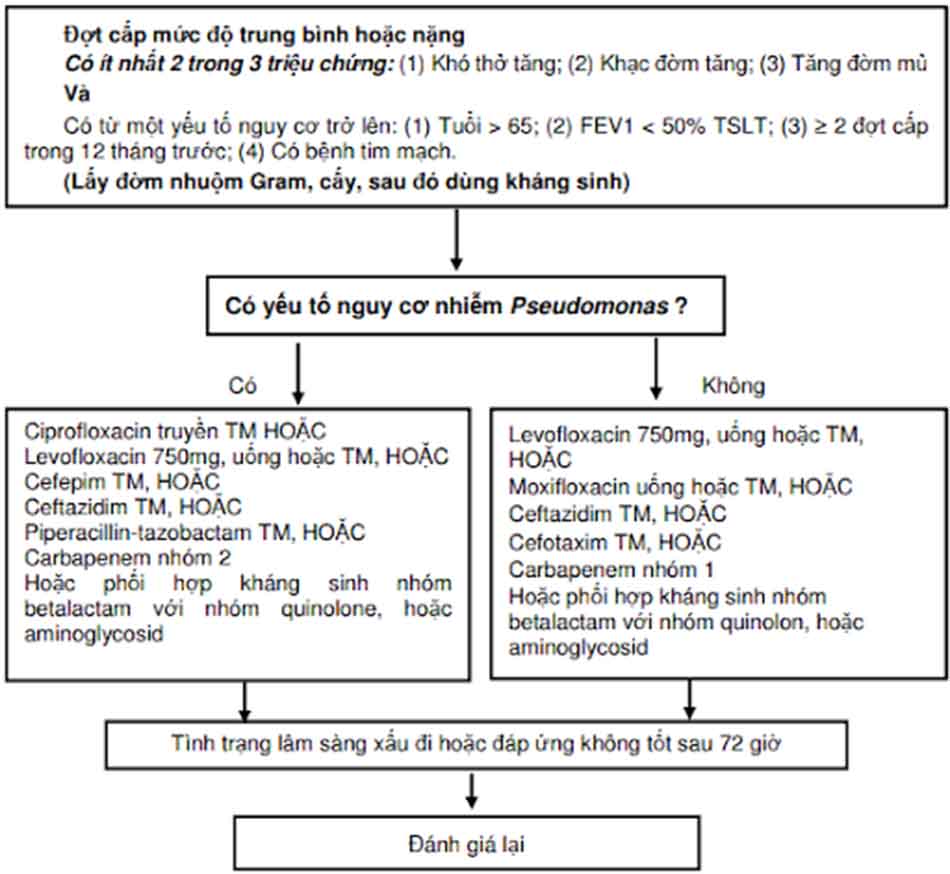 Hình 9. Hướng dẫn sử dụng kháng sinh cho đợt cấp của COPD mức độ nặng.