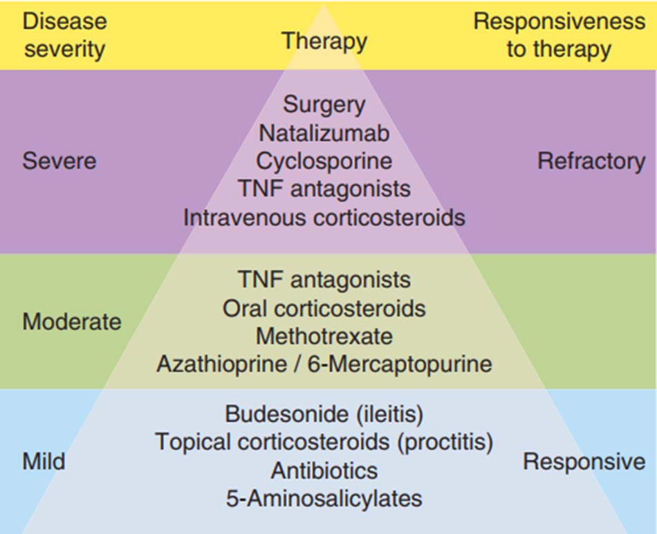 Ảnh: Tháp tiếp cận điều trị IBD theo mức độ nặng của bệnh.