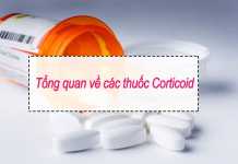 Tổng quan về các thuốc Corticoid