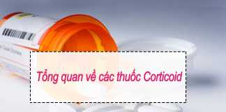 Tổng quan về các thuốc Corticoid