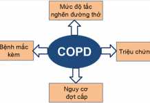 Hình 2. Các yếu tố cần đánh giá trong COPD.