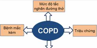 Hình 2. Các yếu tố cần đánh giá trong COPD.