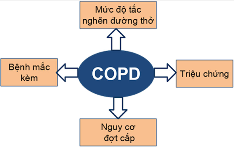 Hình 2. Các yếu tố cần đánh giá trong COPD.