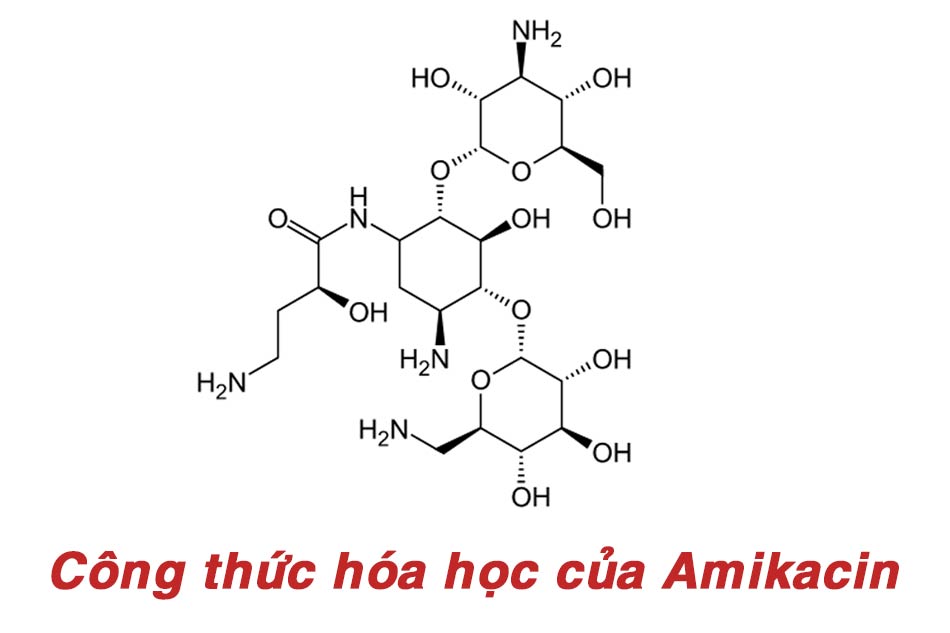 Công thức hóa học của thành phần Amikacin