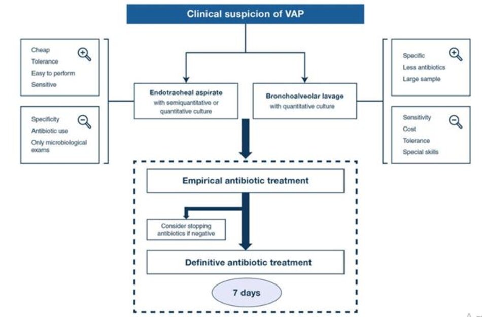 Hình 3 Biểu diễn sơ đồ chẩn đoán và điều trị VAP. Nghi ngờ lâm sàng của VAP đề cập đến sự kết hợp của một số tiêu chuẩn sau: sốt, đờm mủ, tăng bạch cầu, suy giảm oxygen hóa, hạ huyết áp hoặc sốc không rõ nguyên nhân, thâm nhiễm phổi mới (hoặc tiến triển) trên X-quang phổi (không phải lúc nào cũng quan sát được). Điều trị theo kinh nghiệm có tính đến bệnh cơ bản và mức độnghiêm trọng của nó, sự hiện diện của các yếu tố nguy cơ gây bệnh đa kháng thuốc (điều trị kháng sinh trong 90 ngày trước, nằm viện > 5 ngày, sốc nhiễm trùng khi khởi phát VAP, ARDS trước khi khởi phát VAP, điều trị thay thế thận cấp tính trước khi khởi phát VAP, cư trú mầm bệnh MDR trước đó) và mô hình nhạy cảm với kháng sinh tại chỗ. Bệnh nhân suy giảm miễn dịch, bệnh nhân bị viêm mủ màng phổi, áp xe phổi hoặc viêm phổi hoại tử nên điều trị kháng sinh kéo dài [38]