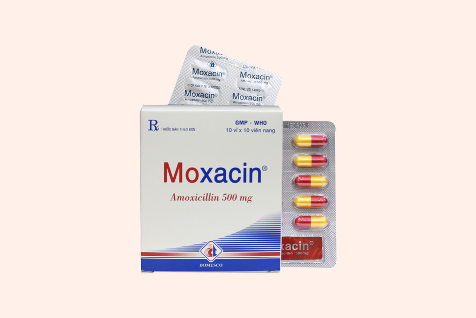 Dạng đóng gói của Moxacin