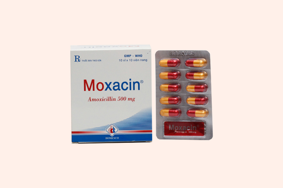 Dạng đóng gói của Moxacin