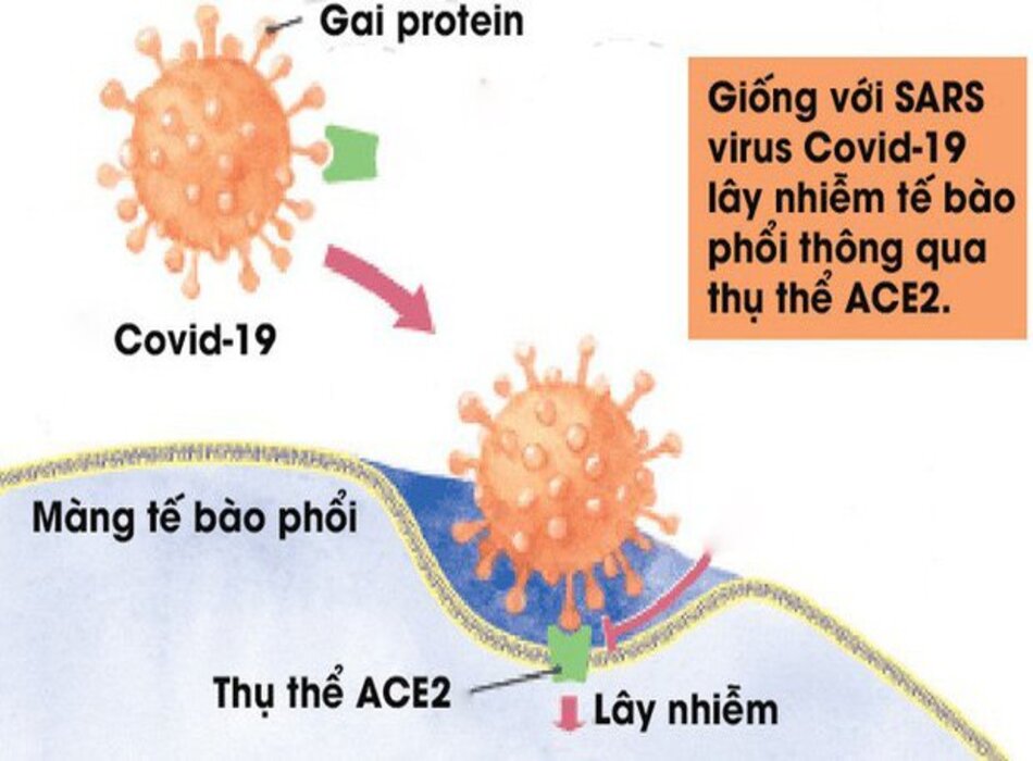 Bằng chứng khoa học chứng minh lợi ích tiềm năng của phương pháp rửa mũi họng