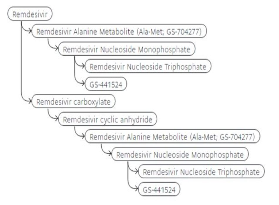 Chuyển hóa Remdesivir