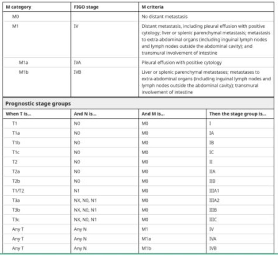 Ovary, fallopian tube, and primary peritoneal carcinoma TNM staging AJCC UICC 8th edition