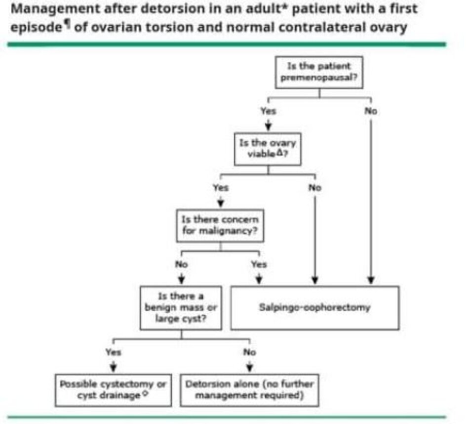 Management after detorsion In an adult patient with a first episode* of ovarian torsion and normal contralateral ovary 