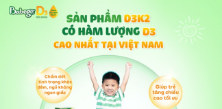 Thành phần chính