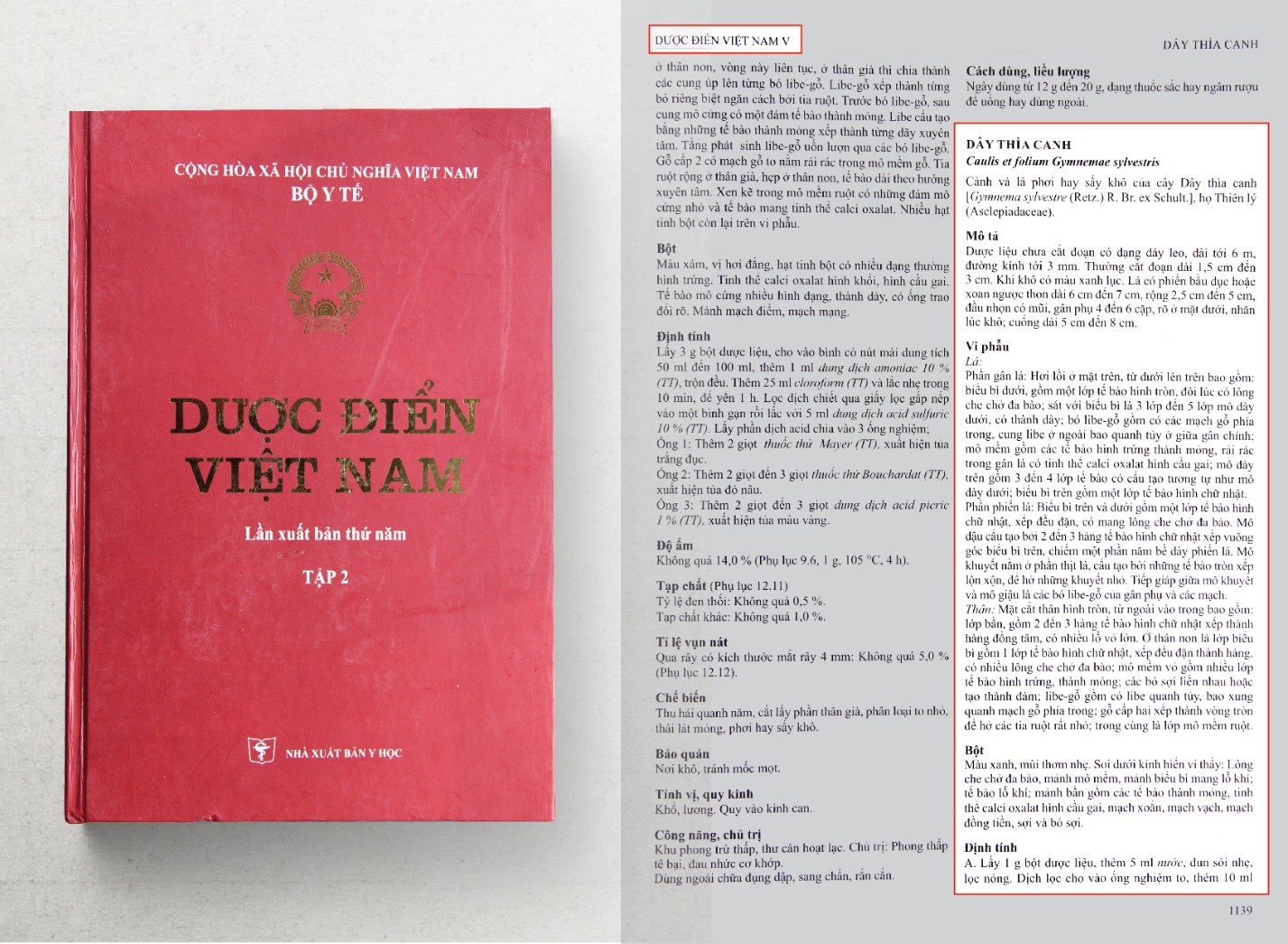 Tác dụng điều trị tiểu đường của Dây thìa canh đã được ghi nhận trong Dược điển Việt Nam