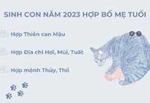 Sinh con năm 2023 hợp tuổi bố mẹ