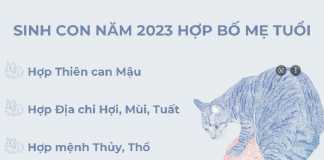 Sinh con năm 2023 hợp tuổi bố mẹ