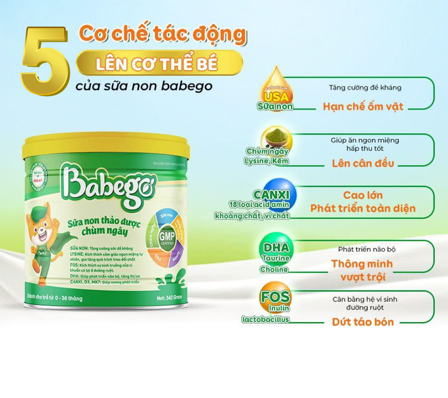 Cơ chế tác động của sữa non thảo dược chùm ngây Babego