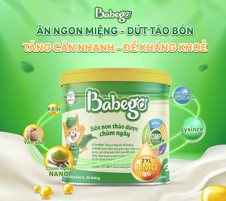 Tìm hiểu về sữa non thảo dược chùm ngây Babego