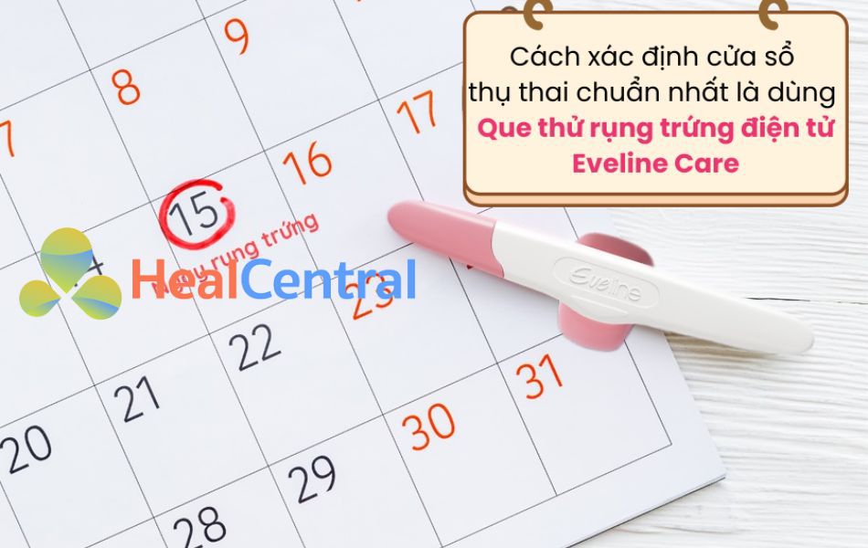 Que thử rụng trứng Eveline - xác định thời điểm lý tưởng thụ thai chính xác