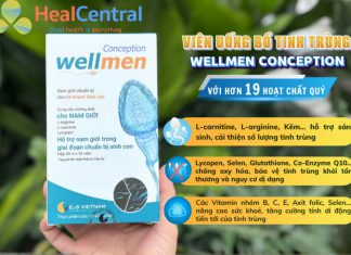 Wellmen Conception