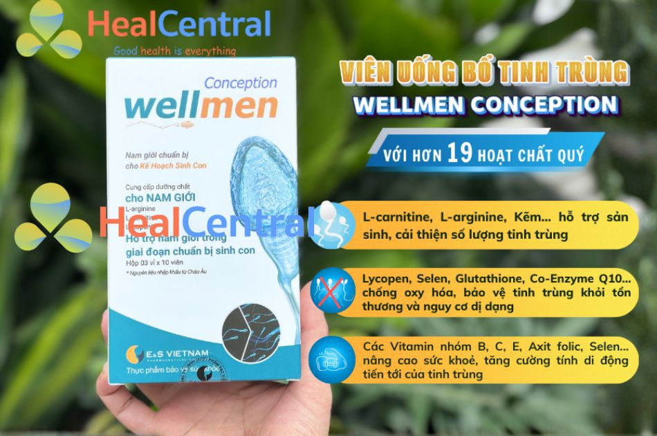 Wellmen Conception