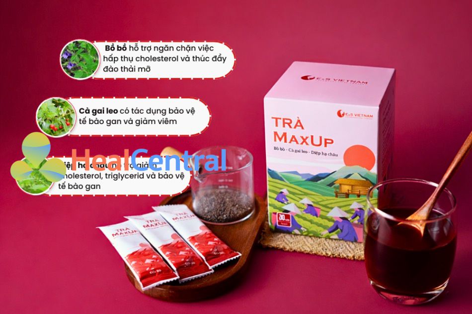 Trà MaxUP kết hợp từ 3 loại thảo dược quý trong Đông Y