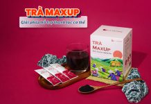 Trà MaxUP - giải pháp cho các gia đình chăm sóc sức khỏe tổng thể một cách chủ động, an toàn