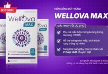 WellOva Max hỗ trợ cải thiện chất lượng trứng, giúp mẹ chủ động hơn trong kế hoạch mang thai