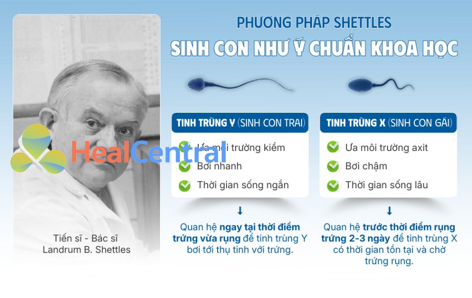 Phương pháp Shettles - Sinh con như ý chuẩn khoa học