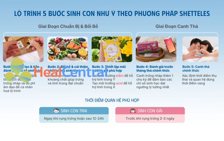 Lộ trình 5 bước sinh con như ý theo phương pháp Shettles