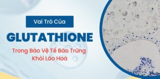 Vai trò của Glutathione trong bảo vệ trứng khỏi lão hóa