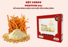 Bột Cordy Protein 80+ - Bổ sung năng lượng, chống mỏi cơ