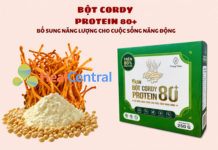 Bột Cordy Protein 80+ - Bổ sung năng lượng, chống mỏi cơ
