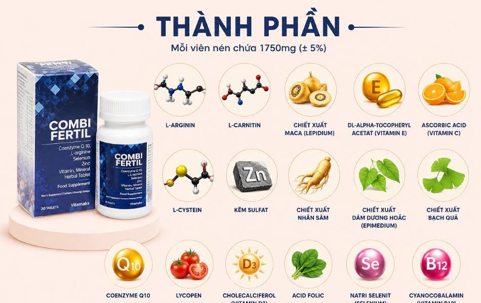 Thành phần của Combifertil