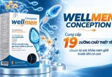 Wellmen Conception cung cấp 19 dưỡng chất thiết yếu cho nam giới giai đoạn chuẩn bị sinh con