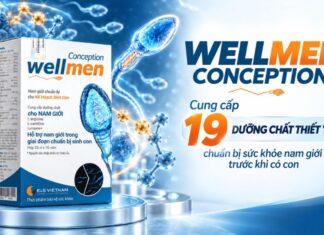 Wellmen Conception cung cấp 19 dưỡng chất thiết yếu cho nam giới giai đoạn chuẩn bị sinh con