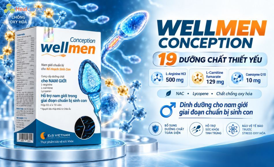 Wellmen Conception cung cấp 19 dưỡng chất thiết yếu cho nam giới giai đoạn chuẩn bị sinh con